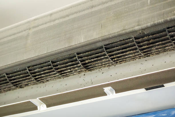 Best Air Duct Cleaning Near Me  in Benton Harbor, MI