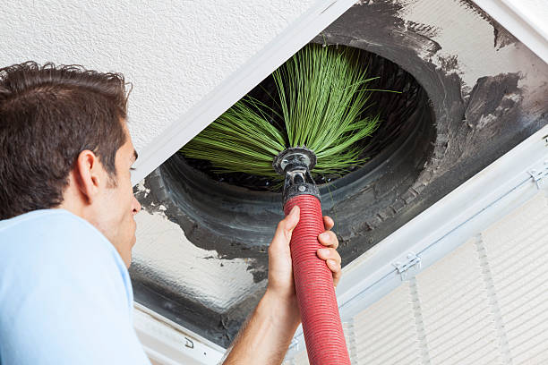 Best Duct Cleaning Specialists  in Benton Harbor, MI